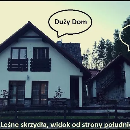 ヴィラ Willa Lesne Skrzydla *